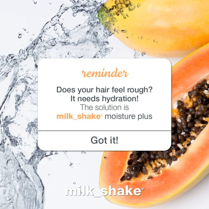 milk_shake Moisture Plus Conditioner 250ml Halo Hair & Skin - rosehipskincare.com.au